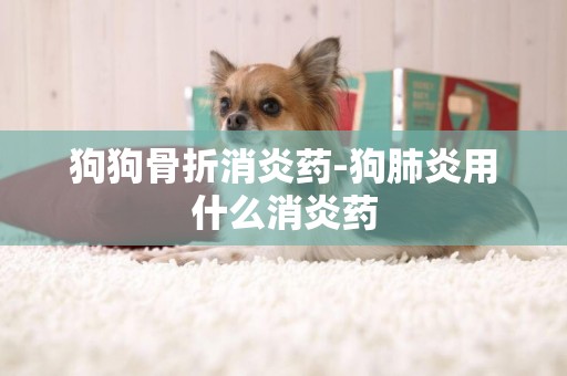 狗狗骨折消炎藥-狗肺炎用什么消炎藥