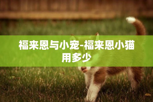 福來恩與小寵-福來恩小貓用多少