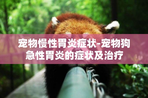 寵物慢性胃炎癥狀-寵物狗急性胃炎的癥狀及治療