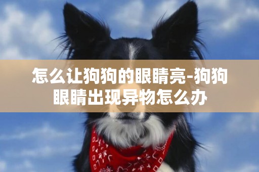 怎么讓狗狗的眼睛亮-狗狗眼睛出現異物怎么辦