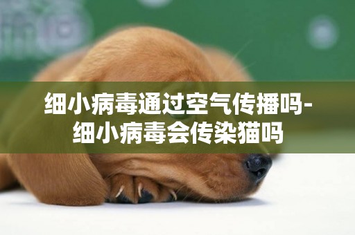 細小病毒通過空氣傳播嗎-細小病毒會傳染貓嗎