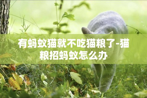 有螞蟻貓就不吃貓糧了-貓糧招螞蟻怎么辦