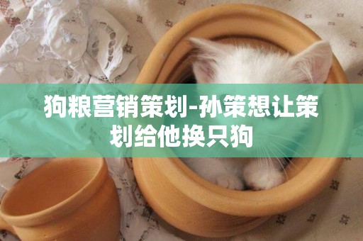 狗糧營銷策劃-孫策想讓策劃給他換只狗