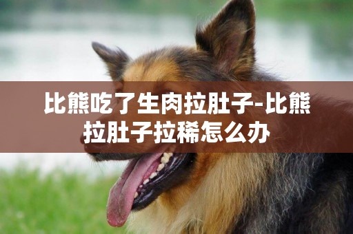 比熊吃了生肉拉肚子-比熊拉肚子拉稀怎么辦