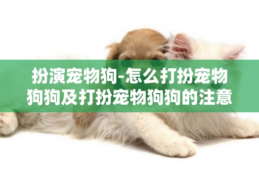扮演寵物狗-怎么打扮寵物狗狗及打扮寵物狗狗的注意事項