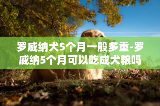 羅威納犬5個月一般多重-羅威納5個月可以吃成犬糧嗎
