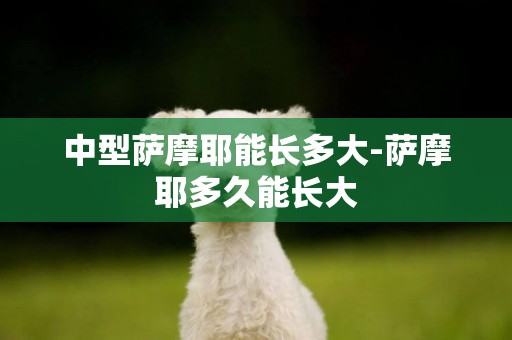 中型薩摩耶能長多大-薩摩耶多久能長大