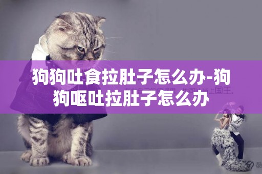 狗狗吐食拉肚子怎么辦-狗狗嘔吐拉肚子怎么辦