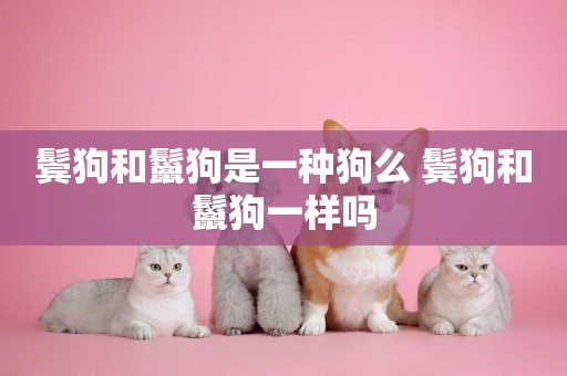 鬢狗和鬣狗是一種狗么 鬢狗和鬣狗一樣嗎