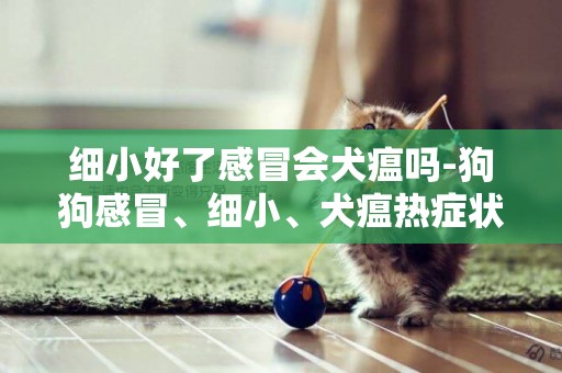 細小好了感冒會犬瘟嗎-狗狗感冒、細小、犬瘟熱癥狀的區別