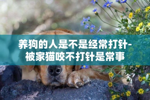 養狗的人是不是經常打針-被家貓咬不打針是常事