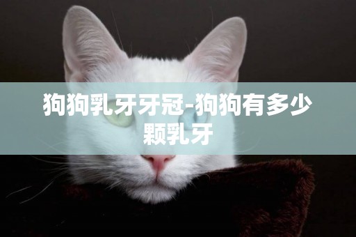 狗狗乳牙牙冠-狗狗有多少顆乳牙