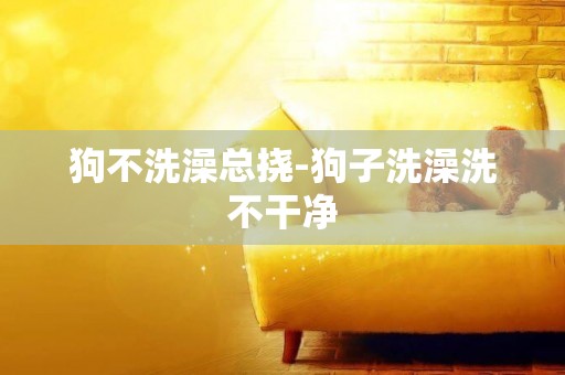 狗不洗澡總撓-狗子洗澡洗不干凈