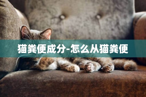貓糞便成分-怎么從貓糞便