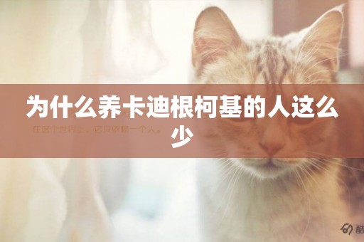 為什么養卡迪根柯基的人這么少