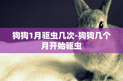 狗狗1月驅蟲幾次-狗狗幾個月開始驅蟲