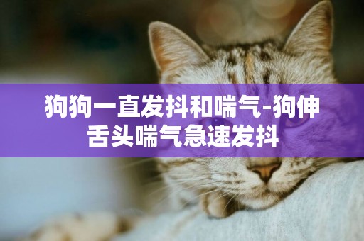 狗狗一直發抖和喘氣-狗伸舌頭喘氣急速發抖