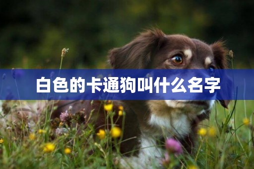 白色的卡通狗叫什么名字