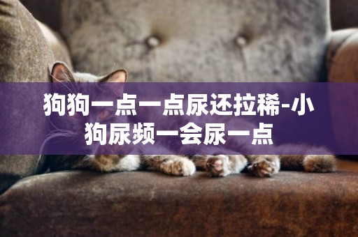 狗狗一點一點尿還拉稀-小狗尿頻一會尿一點