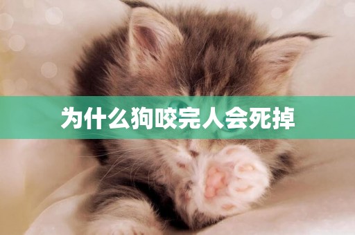 為什么狗咬完人會死掉
