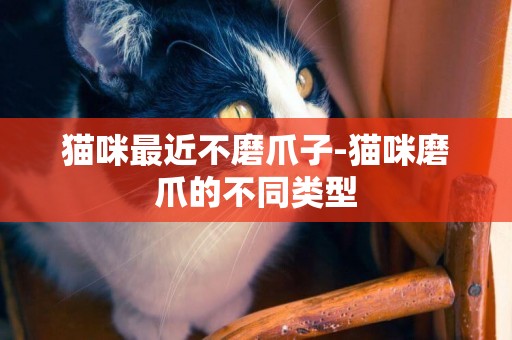 貓咪最近不磨爪子-貓咪磨爪的不同類型