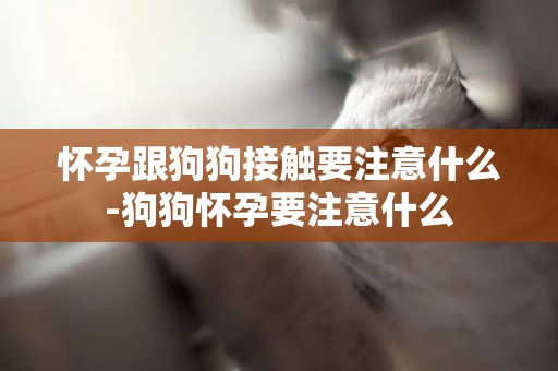懷孕跟狗狗接觸要注意什么-狗狗懷孕要注意什么