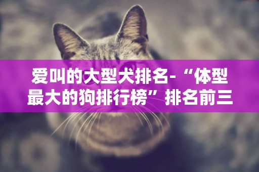 愛叫的大型犬排名-“體型最大的狗排行榜”排名前三的是哪些犬種