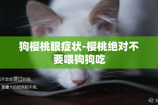 狗櫻桃眼癥狀-櫻桃絕對不要喂狗狗吃