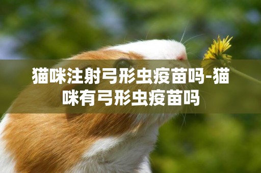 貓咪注射弓形蟲疫苗嗎-貓咪有弓形蟲疫苗嗎