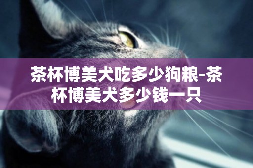 茶杯博美犬吃多少狗糧-茶杯博美犬多少錢一只