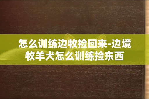 怎么訓練邊牧撿回來-邊境牧羊犬怎么訓練撿東西
