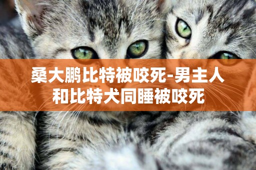 桑大鵬比特被咬死-男主人和比特犬同睡被咬死