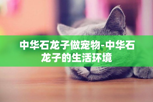 中華石龍子做寵物-中華石龍子的生活環境
