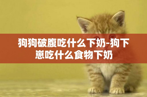 狗狗破腹吃什么下奶-狗下崽吃什么食物下奶