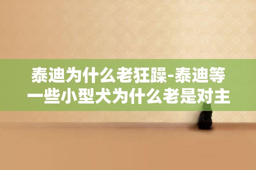 泰迪為什么老狂躁-泰迪等一些小型犬為什么老是對主人狂吠