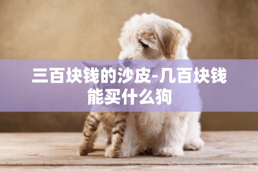 三百塊錢的沙皮-幾百塊錢能買什么狗