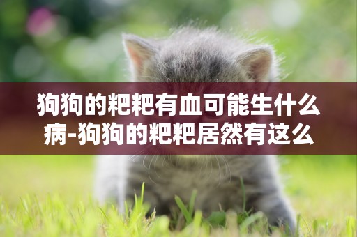 狗狗的粑粑有血可能生什么病-狗狗的粑粑居然有這么多學問