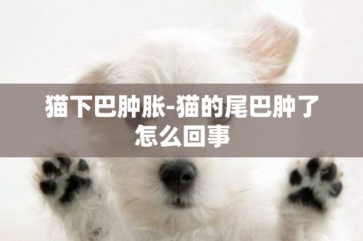 貓下巴腫脹-貓的尾巴腫了怎么回事