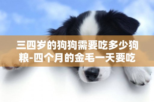 三四歲的狗狗需要吃多少狗糧-四個月的金毛一天要吃多少狗糧