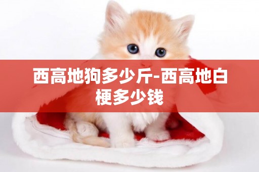 西高地狗多少斤-西高地白梗多少錢