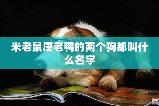 米老鼠唐老鴨的兩個狗都叫什么名字