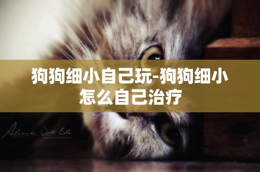 狗狗細小自己玩-狗狗細小怎么自己治療