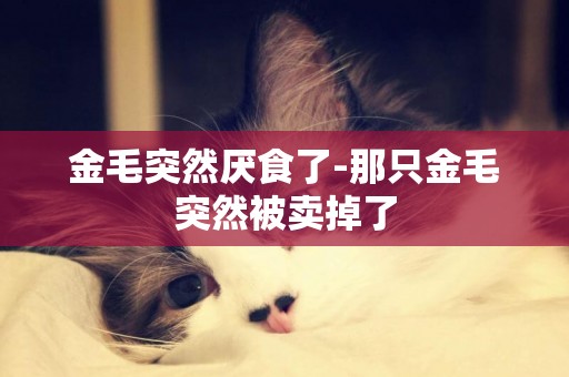 金毛突然厭食了-那只金毛突然被賣掉了
