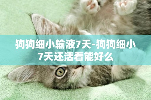 狗狗細小輸液7天-狗狗細小7天還活著能好么