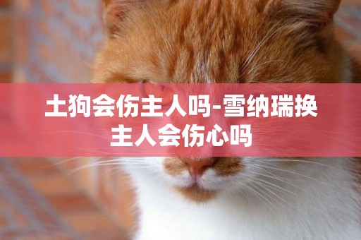 土狗會傷主人嗎-雪納瑞換主人會傷心嗎