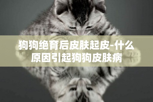 狗狗絕育后皮膚起皮-什么原因引起狗狗皮膚病