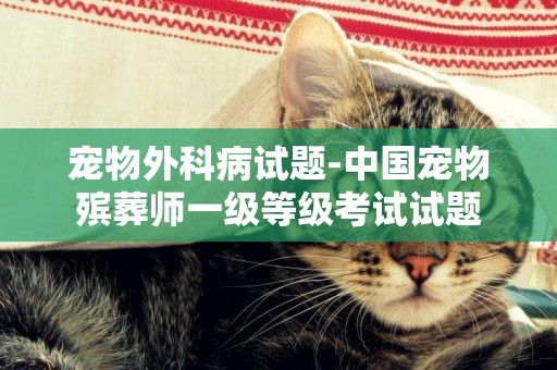 寵物外科病試題-中國寵物殯葬師一級等級考試試題