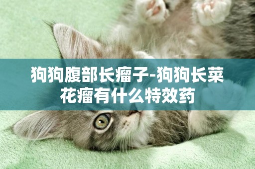 狗狗腹部長瘤子-狗狗長菜花瘤有什么特效藥