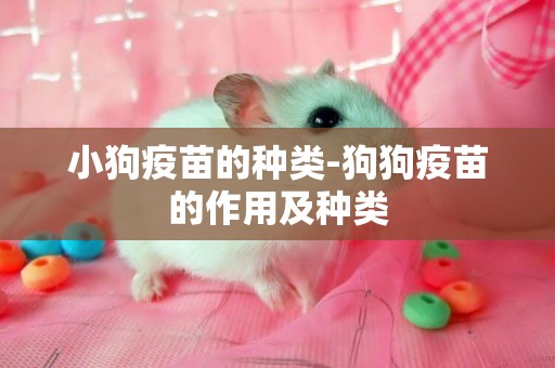 小狗疫苗的種類-狗狗疫苗的作用及種類