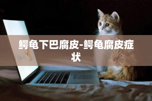 鱷龜下巴腐皮-鱷龜腐皮癥狀